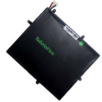 PDA 10Buckles-7Lines 替換電池 29137163