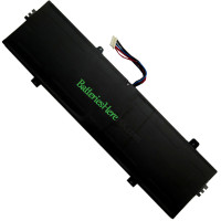 PDA 10Buckles-8Lines 替換電池 NV-4570125-2S