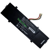 PDA 替換電池 10Buckles-8Lines 4873276P
